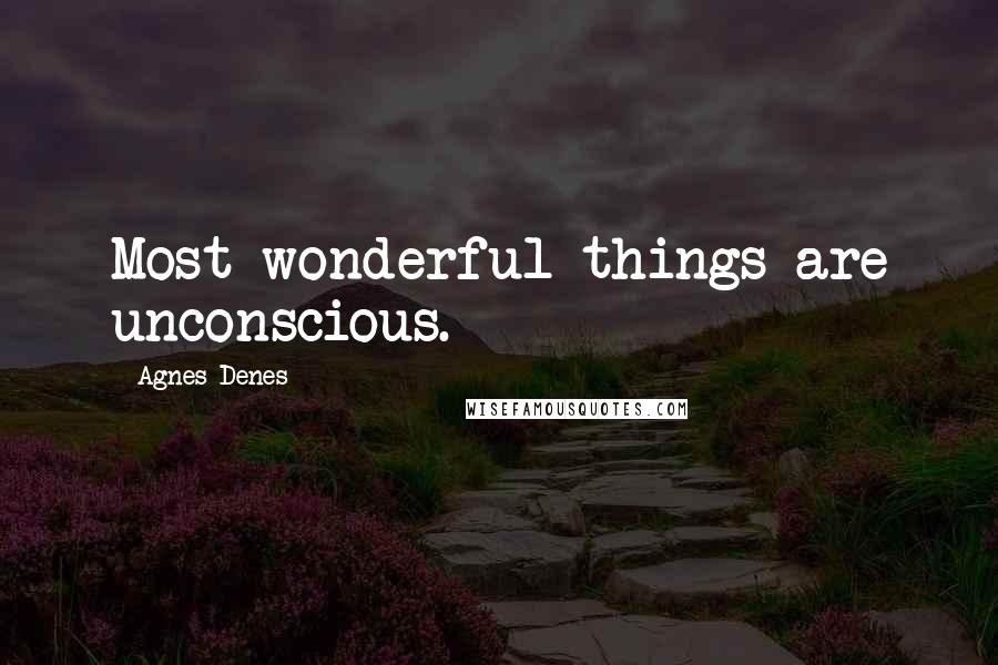 Agnes Denes Quotes: Most wonderful things are unconscious.