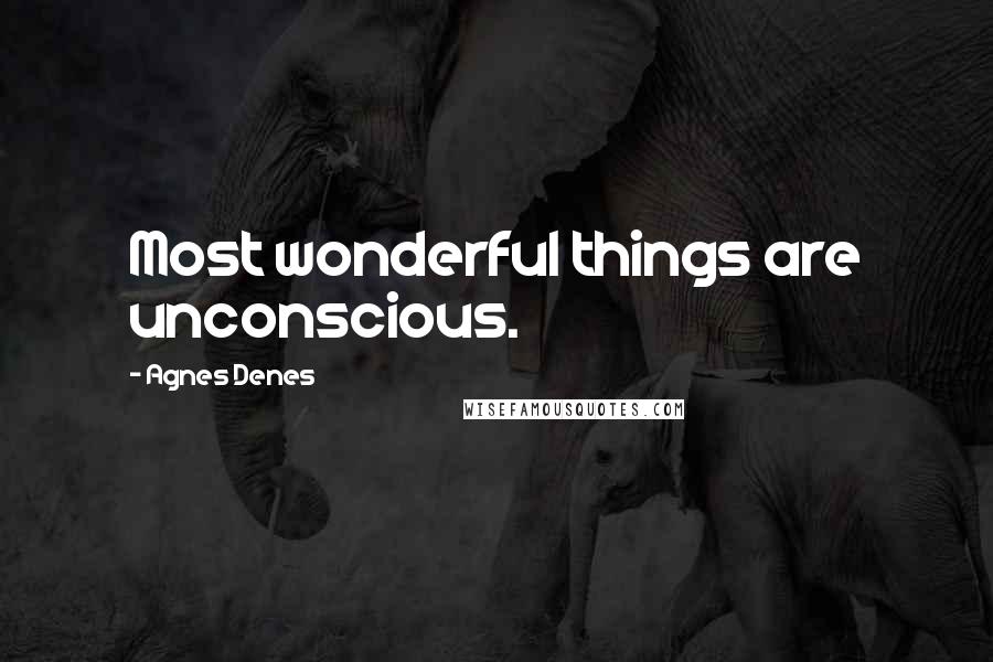 Agnes Denes Quotes: Most wonderful things are unconscious.