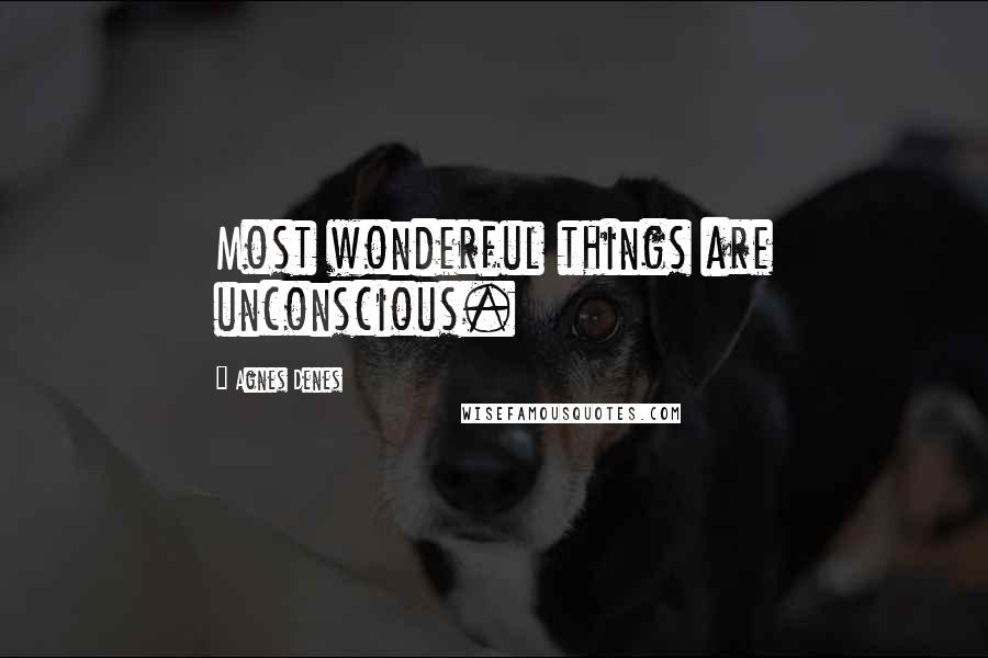 Agnes Denes Quotes: Most wonderful things are unconscious.