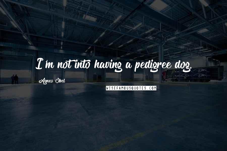 Agnes Obel Quotes: I'm not into having a pedigree dog.