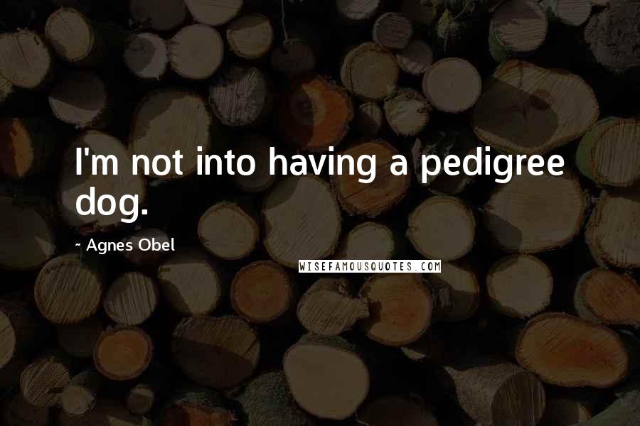 Agnes Obel Quotes: I'm not into having a pedigree dog.