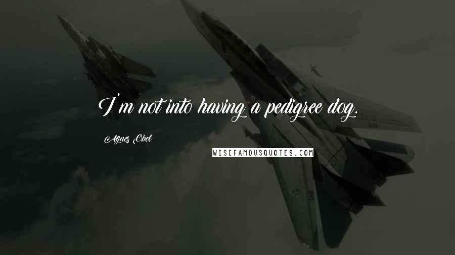 Agnes Obel Quotes: I'm not into having a pedigree dog.