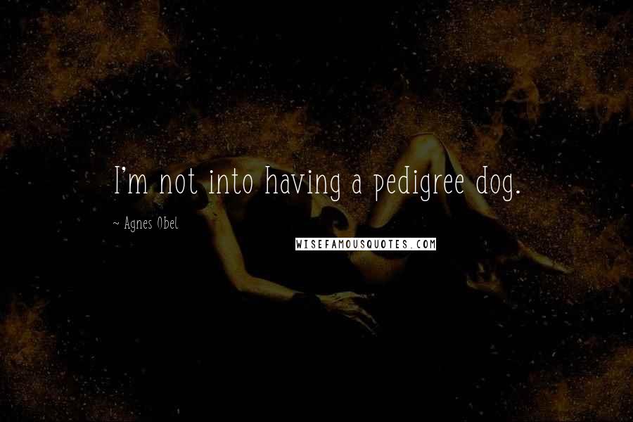 Agnes Obel Quotes: I'm not into having a pedigree dog.
