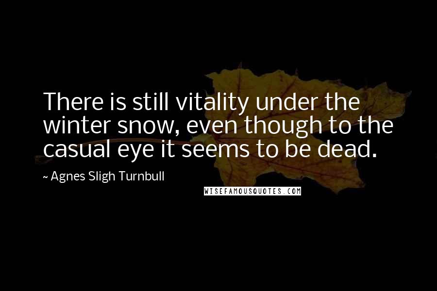 Agnes Sligh Turnbull Quotes: There is still vitality under the winter snow, even though to the casual eye it seems to be dead.