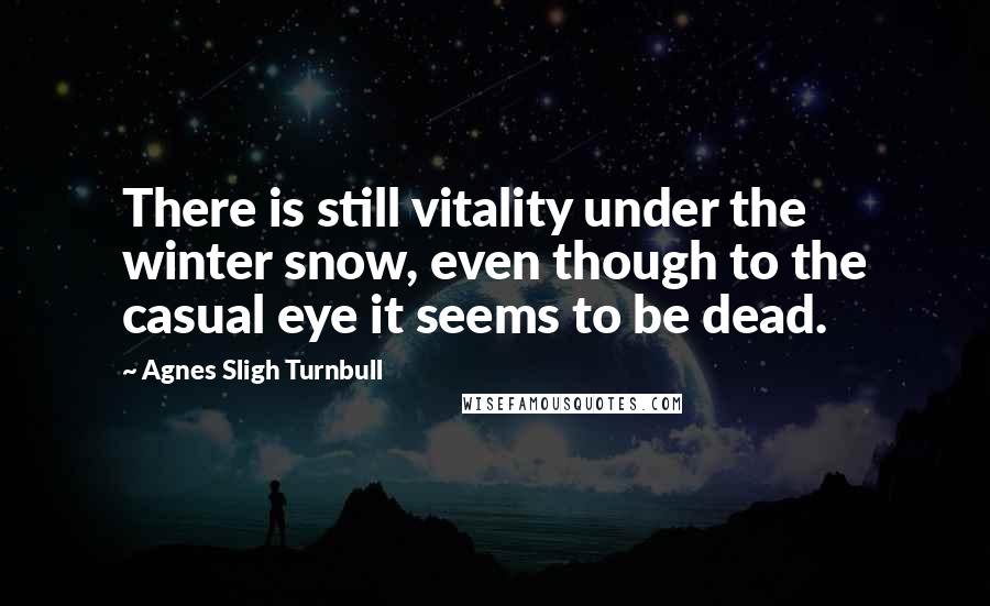 Agnes Sligh Turnbull Quotes: There is still vitality under the winter snow, even though to the casual eye it seems to be dead.