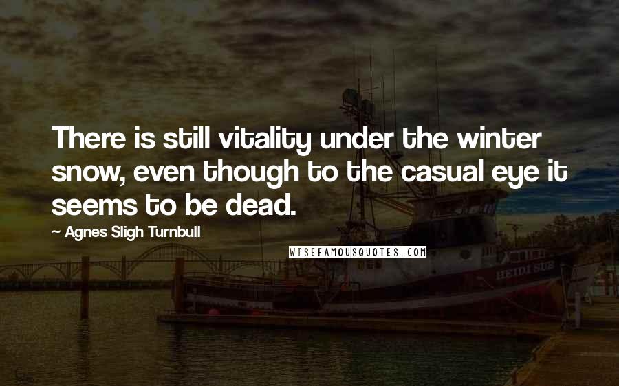 Agnes Sligh Turnbull Quotes: There is still vitality under the winter snow, even though to the casual eye it seems to be dead.
