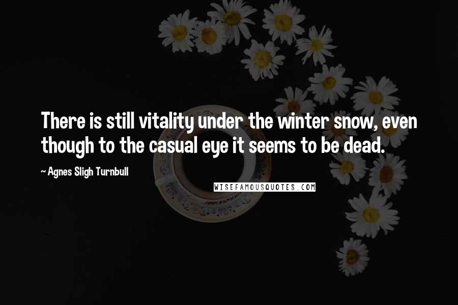 Agnes Sligh Turnbull Quotes: There is still vitality under the winter snow, even though to the casual eye it seems to be dead.