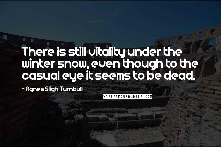Agnes Sligh Turnbull Quotes: There is still vitality under the winter snow, even though to the casual eye it seems to be dead.