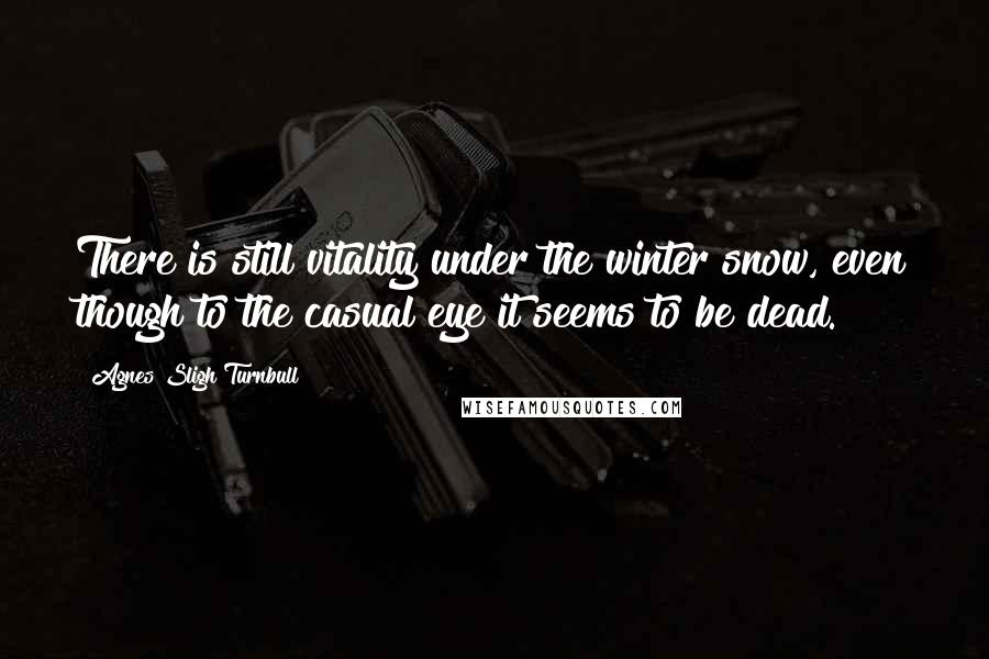 Agnes Sligh Turnbull Quotes: There is still vitality under the winter snow, even though to the casual eye it seems to be dead.