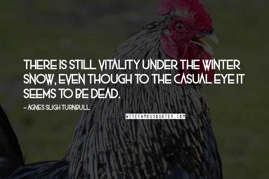 Agnes Sligh Turnbull Quotes: There is still vitality under the winter snow, even though to the casual eye it seems to be dead.