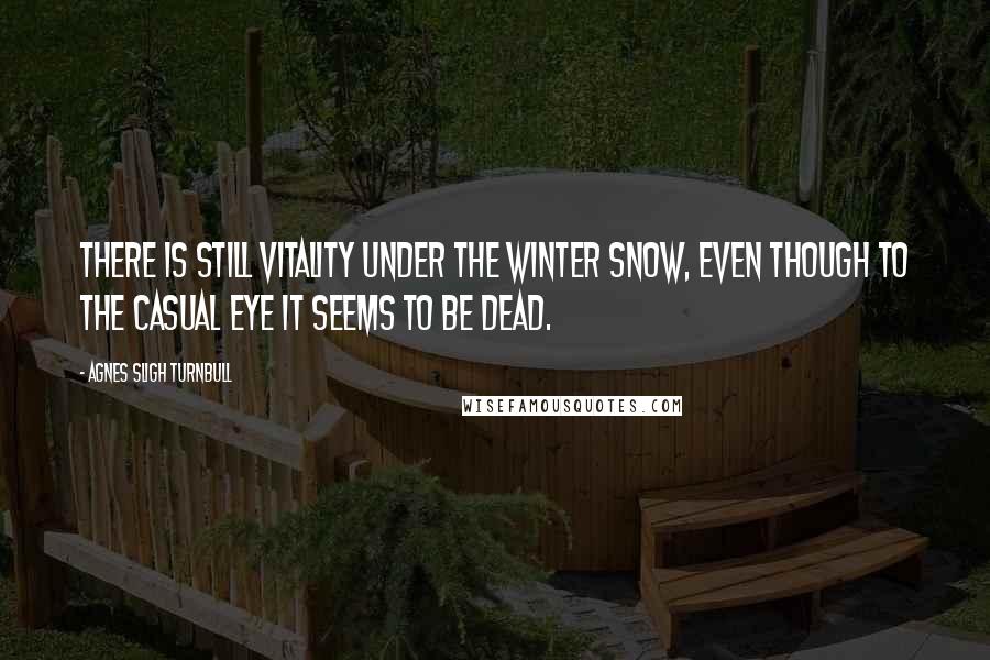 Agnes Sligh Turnbull Quotes: There is still vitality under the winter snow, even though to the casual eye it seems to be dead.