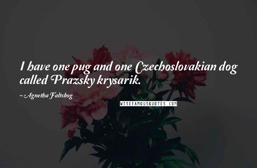 Agnetha Faltskog Quotes: I have one pug and one Czechoslovakian dog called Prazsky krysarik.