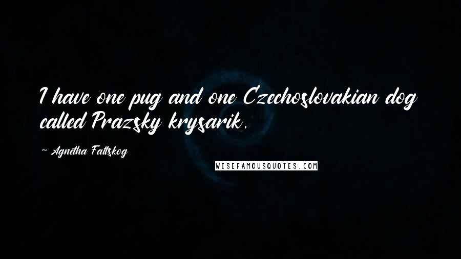 Agnetha Faltskog Quotes: I have one pug and one Czechoslovakian dog called Prazsky krysarik.