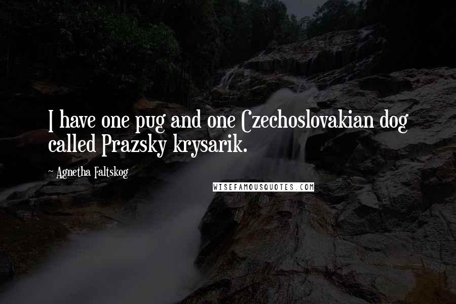 Agnetha Faltskog Quotes: I have one pug and one Czechoslovakian dog called Prazsky krysarik.