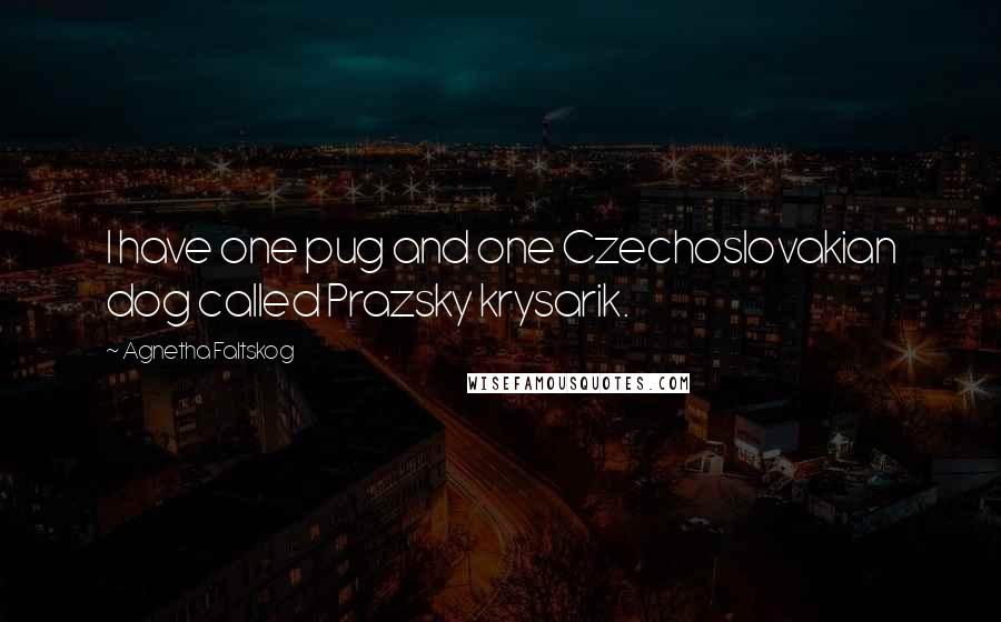 Agnetha Faltskog Quotes: I have one pug and one Czechoslovakian dog called Prazsky krysarik.