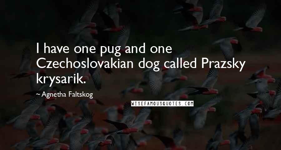 Agnetha Faltskog Quotes: I have one pug and one Czechoslovakian dog called Prazsky krysarik.