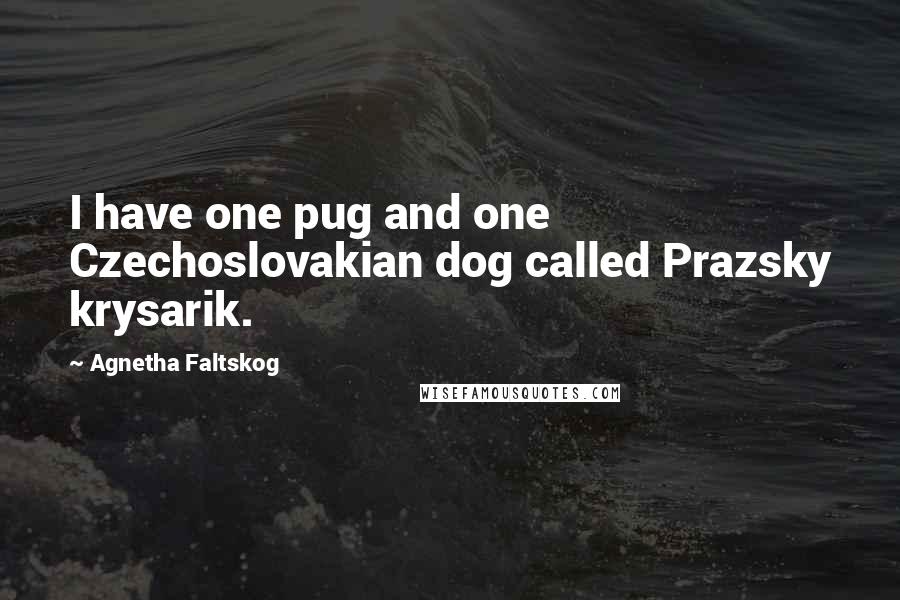 Agnetha Faltskog Quotes: I have one pug and one Czechoslovakian dog called Prazsky krysarik.