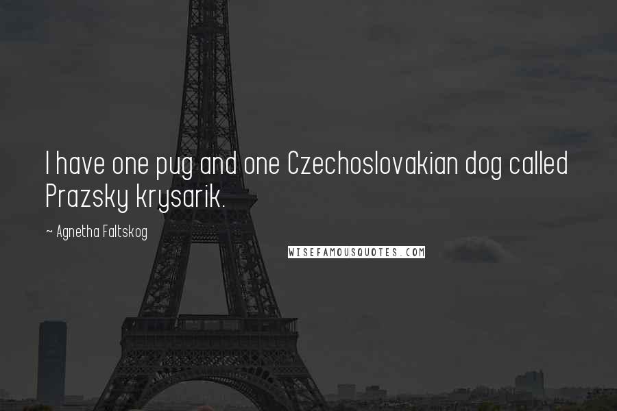 Agnetha Faltskog Quotes: I have one pug and one Czechoslovakian dog called Prazsky krysarik.