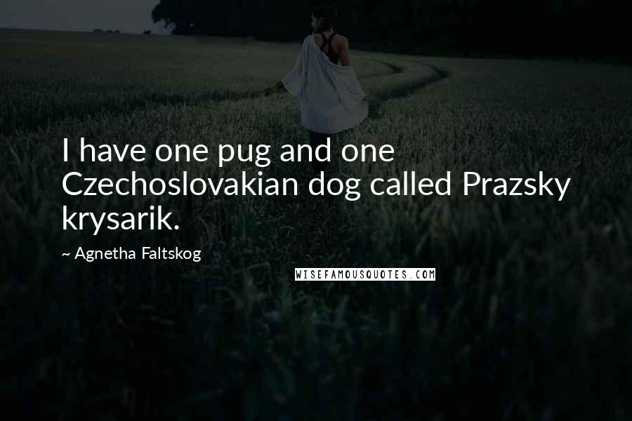 Agnetha Faltskog Quotes: I have one pug and one Czechoslovakian dog called Prazsky krysarik.