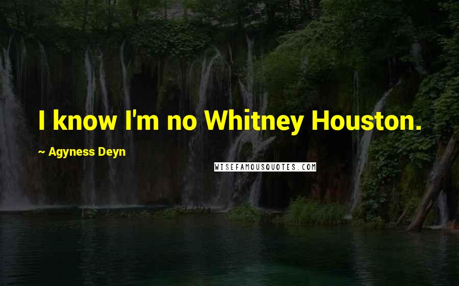 Agyness Deyn Quotes: I know I'm no Whitney Houston.