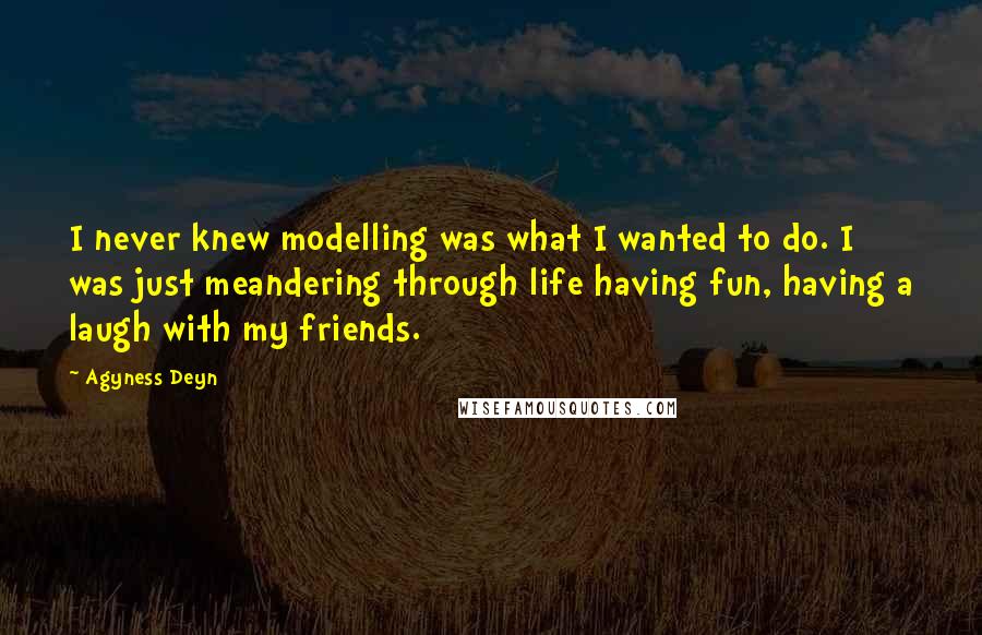Agyness Deyn Quotes: I never knew modelling was what I wanted to do. I was just meandering through life having fun, having a laugh with my friends.