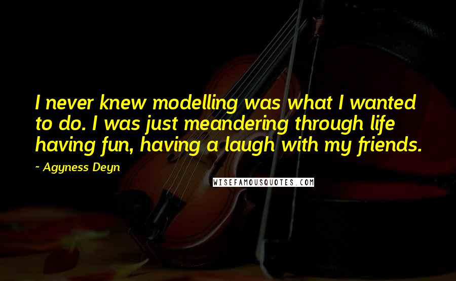 Agyness Deyn Quotes: I never knew modelling was what I wanted to do. I was just meandering through life having fun, having a laugh with my friends.