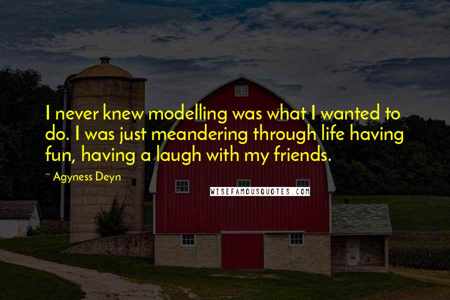 Agyness Deyn Quotes: I never knew modelling was what I wanted to do. I was just meandering through life having fun, having a laugh with my friends.