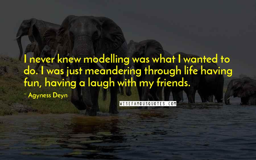 Agyness Deyn Quotes: I never knew modelling was what I wanted to do. I was just meandering through life having fun, having a laugh with my friends.