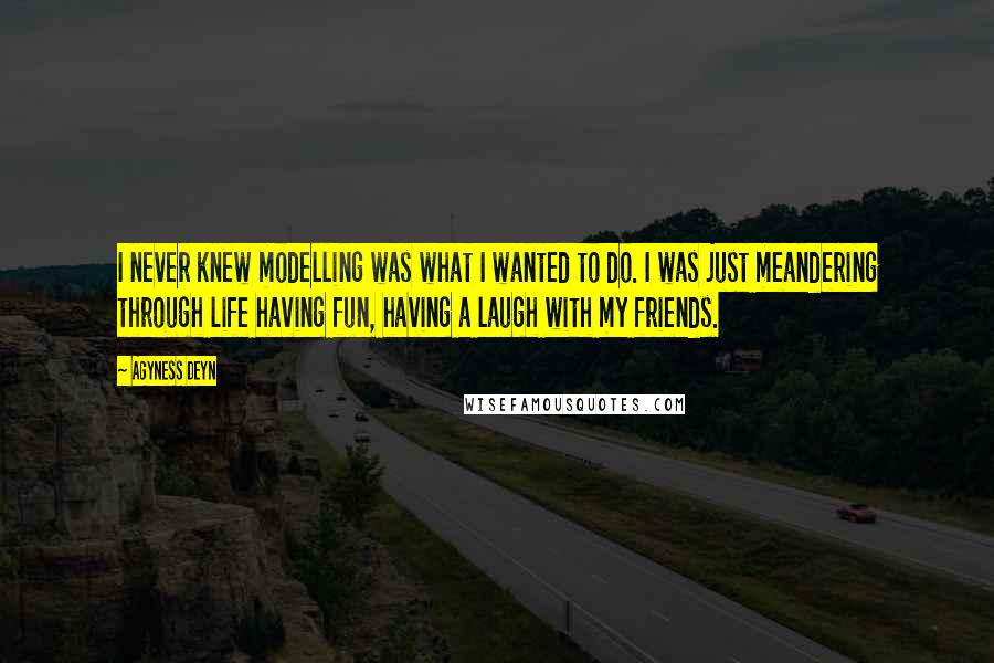 Agyness Deyn Quotes: I never knew modelling was what I wanted to do. I was just meandering through life having fun, having a laugh with my friends.