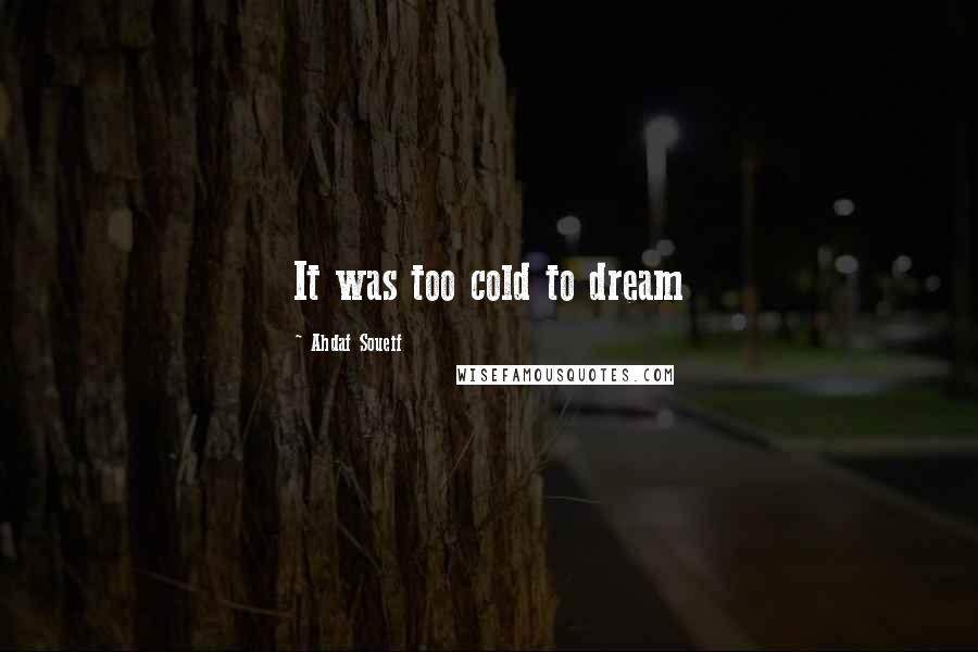 Ahdaf Soueif Quotes: It was too cold to dream