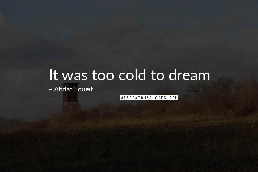 Ahdaf Soueif Quotes: It was too cold to dream