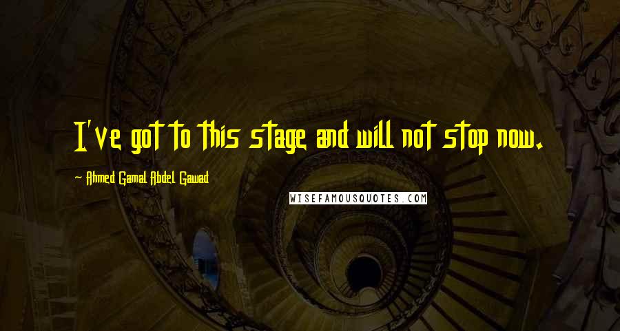 Ahmed Gamal Abdel Gawad Quotes: I've got to this stage and will not stop now.