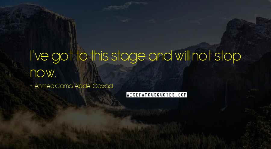 Ahmed Gamal Abdel Gawad Quotes: I've got to this stage and will not stop now.