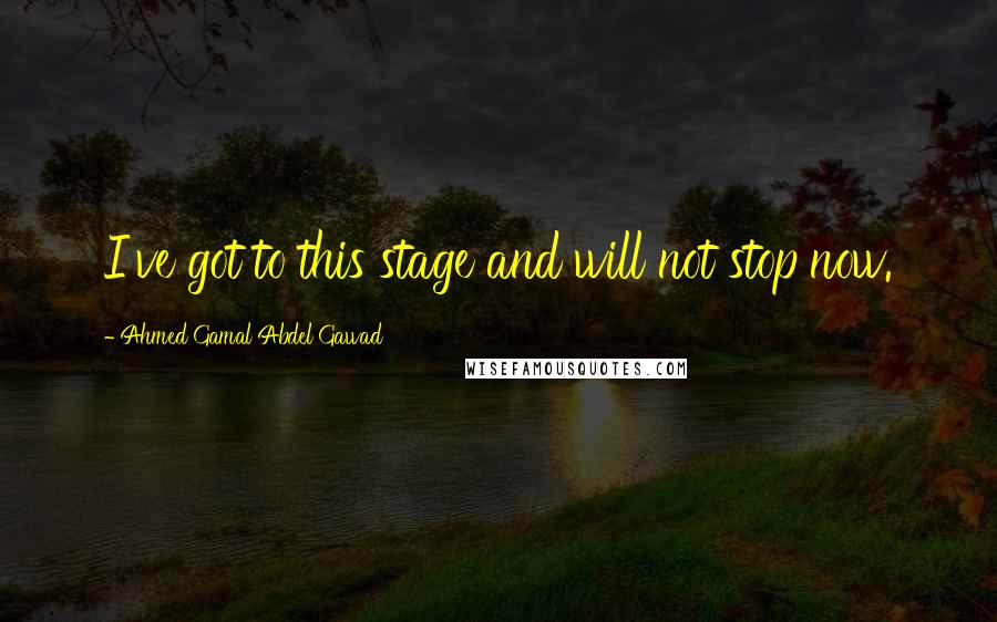Ahmed Gamal Abdel Gawad Quotes: I've got to this stage and will not stop now.