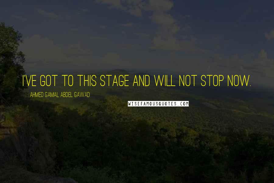 Ahmed Gamal Abdel Gawad Quotes: I've got to this stage and will not stop now.