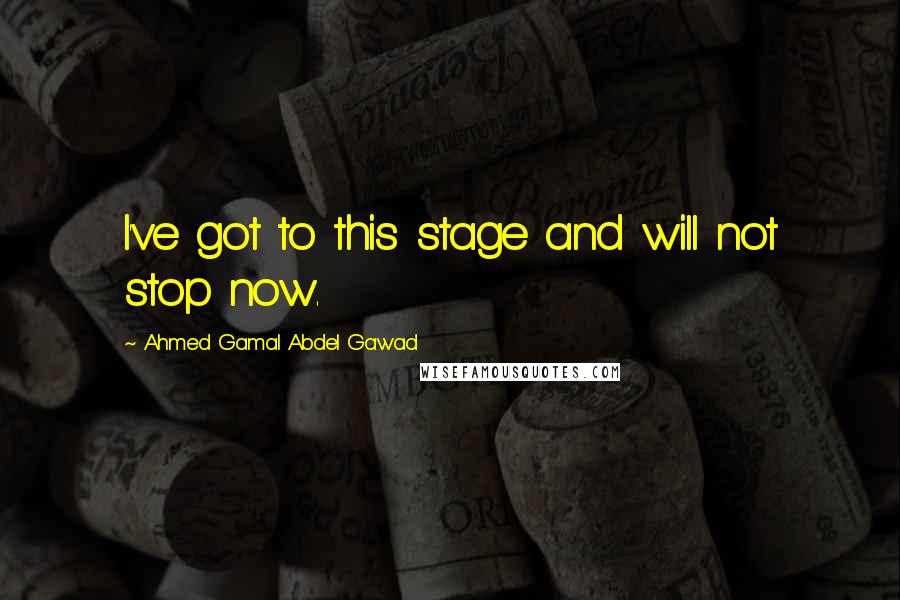 Ahmed Gamal Abdel Gawad Quotes: I've got to this stage and will not stop now.