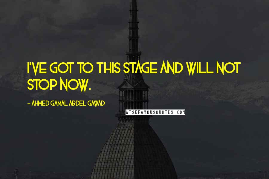 Ahmed Gamal Abdel Gawad Quotes: I've got to this stage and will not stop now.