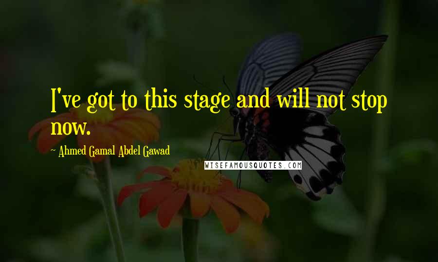 Ahmed Gamal Abdel Gawad Quotes: I've got to this stage and will not stop now.