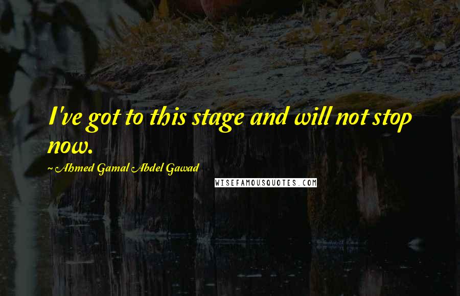 Ahmed Gamal Abdel Gawad Quotes: I've got to this stage and will not stop now.