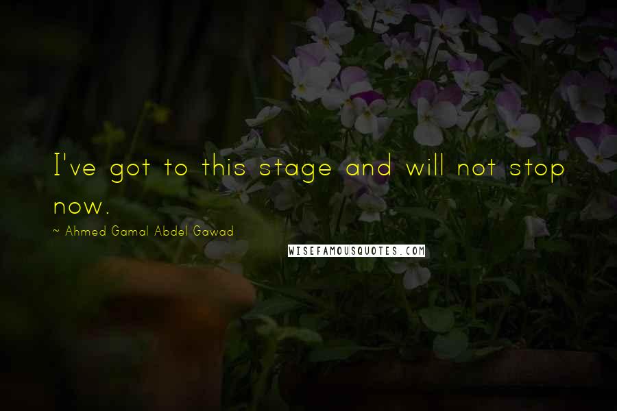 Ahmed Gamal Abdel Gawad Quotes: I've got to this stage and will not stop now.