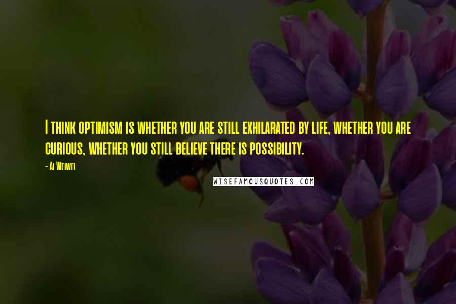 Ai Weiwei Quotes: I think optimism is whether you are still exhilarated by life, whether you are curious, whether you still believe there is possibility.