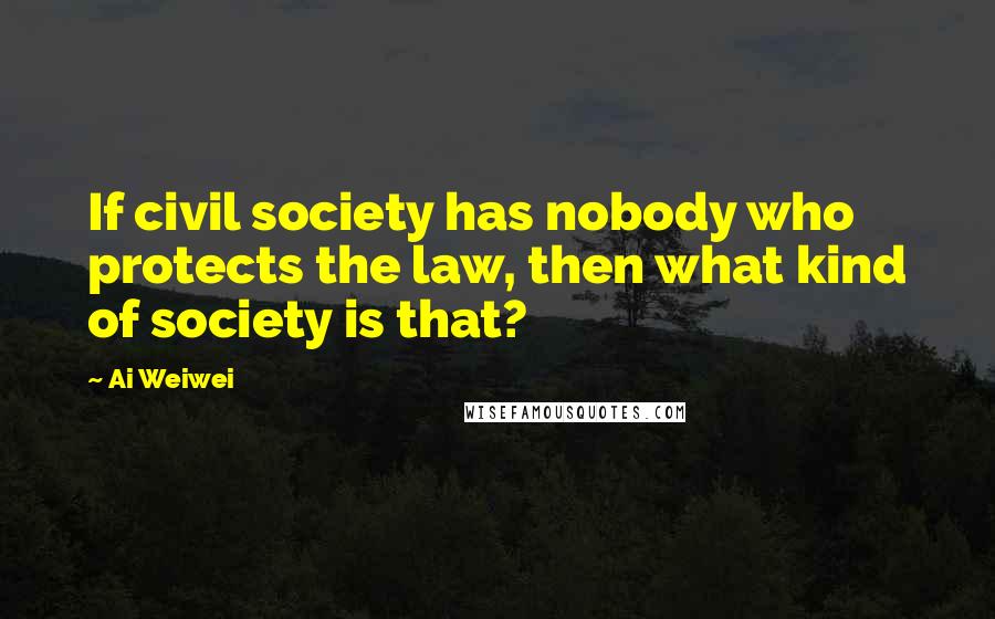 Ai Weiwei Quotes: If civil society has nobody who protects the law, then what kind of society is that?