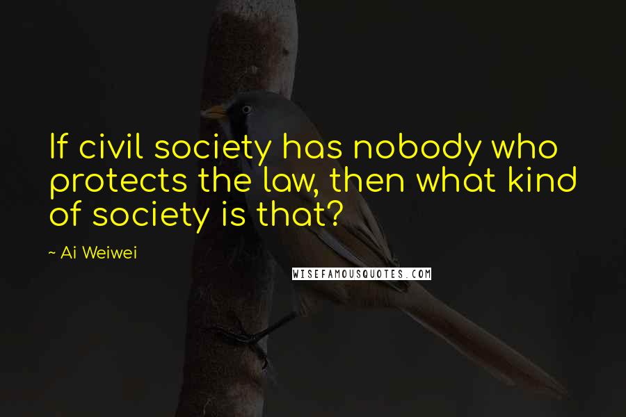 Ai Weiwei Quotes: If civil society has nobody who protects the law, then what kind of society is that?