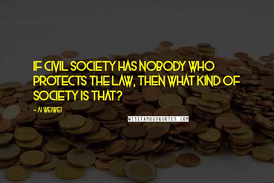 Ai Weiwei Quotes: If civil society has nobody who protects the law, then what kind of society is that?