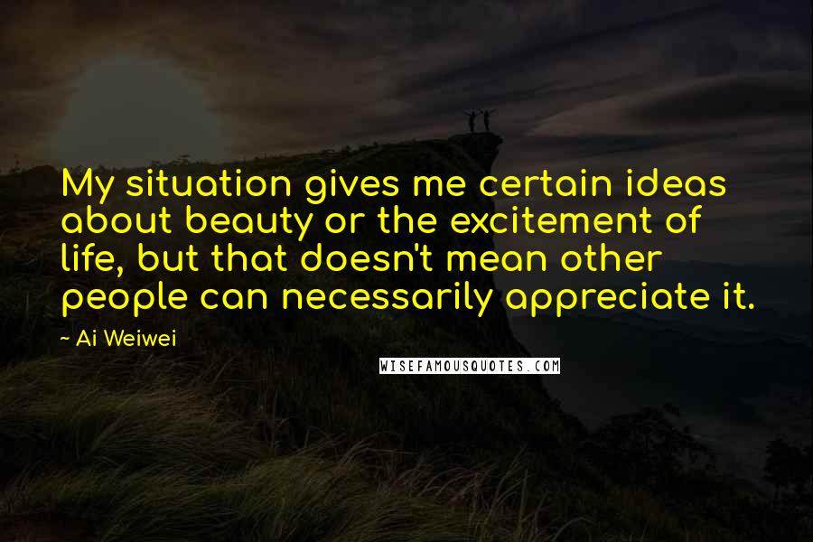 Ai Weiwei Quotes: My situation gives me certain ideas about beauty or the excitement of life, but that doesn't mean other people can necessarily appreciate it.