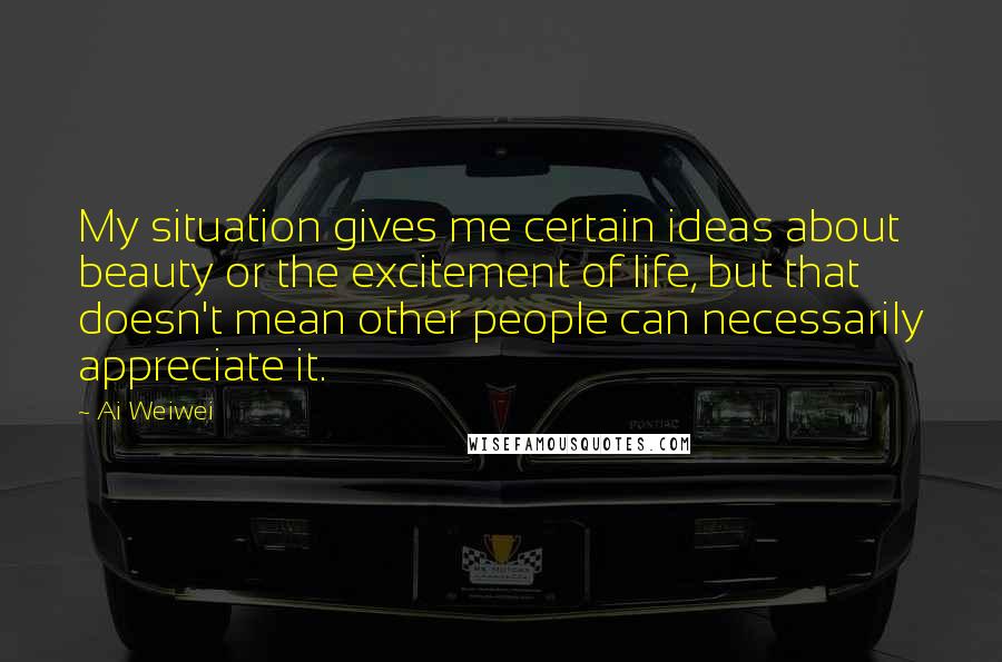 Ai Weiwei Quotes: My situation gives me certain ideas about beauty or the excitement of life, but that doesn't mean other people can necessarily appreciate it.