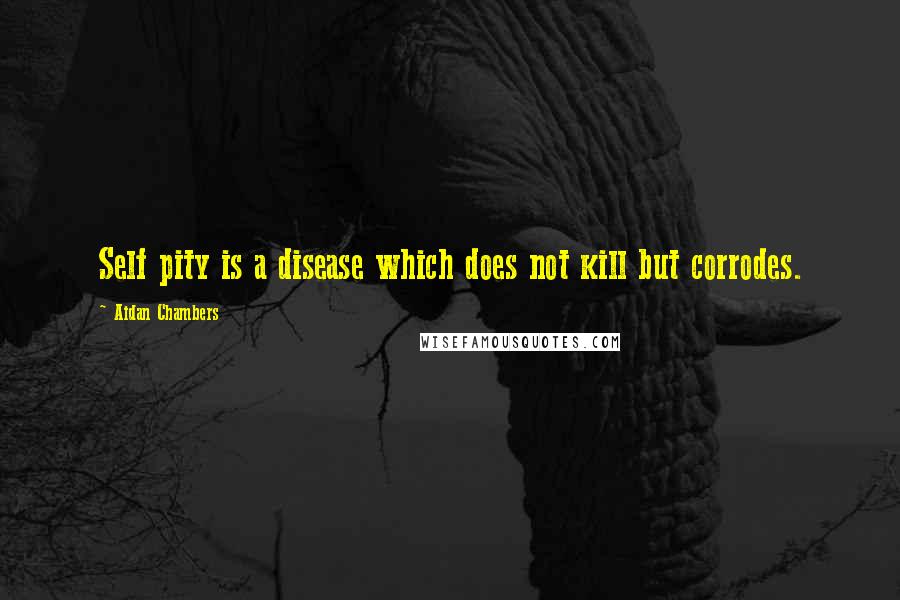 Aidan Chambers Quotes: Self pity is a disease which does not kill but corrodes.