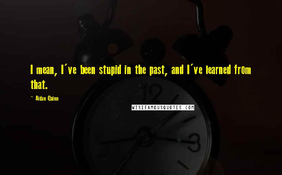 Aidan Quinn Quotes: I mean, I've been stupid in the past, and I've learned from that.