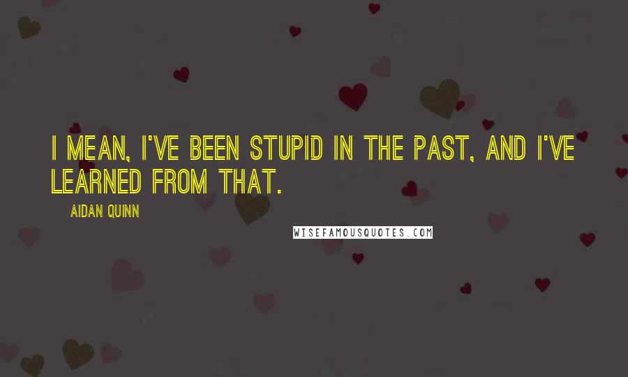Aidan Quinn Quotes: I mean, I've been stupid in the past, and I've learned from that.