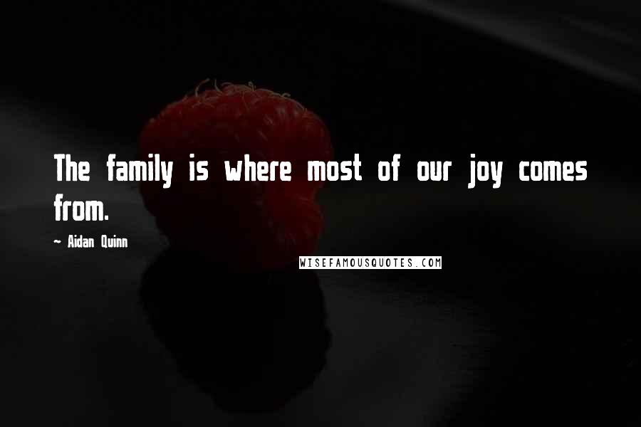 Aidan Quinn Quotes: The family is where most of our joy comes from.